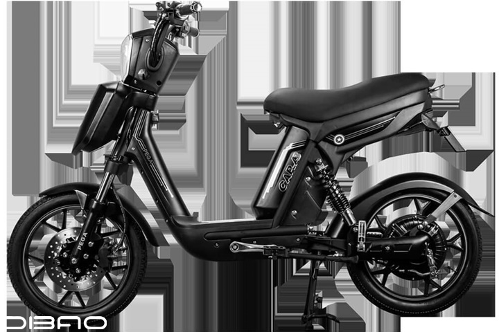 xe-dap-dien-ben-nhat-2020-h6