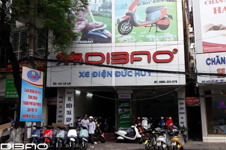 xe-dap-dien-hai-phong-2