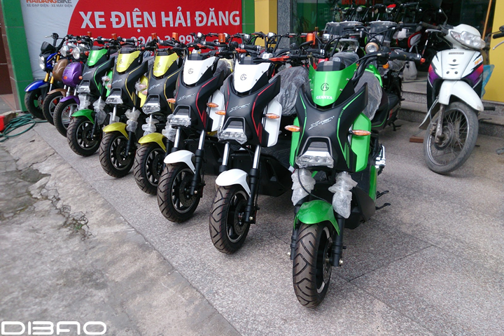 xe-dap-dien-hai-phong-4