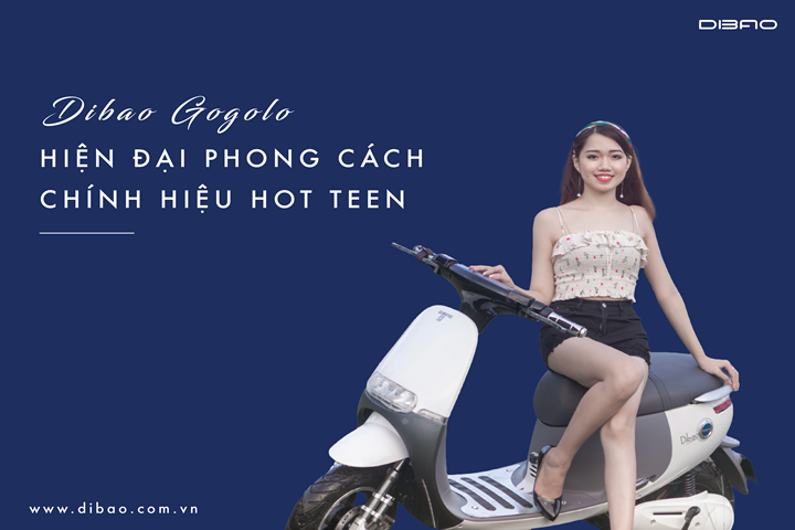 xe-may-dien-dibao-gogo-chinh-hang-mau-trang