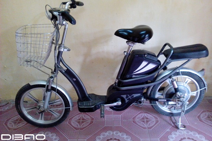 xe-dap-dien-gia-3-trieu-h5