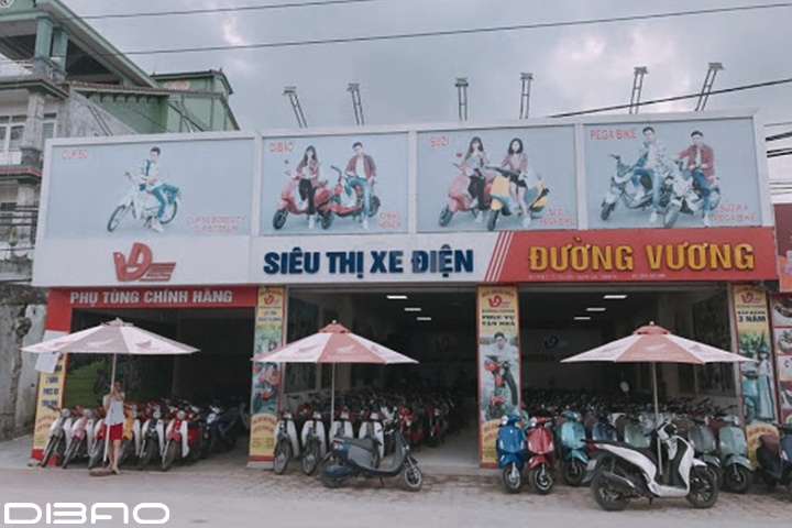 dai-ly-xe-dap-dien-tai-nghe-an-h1