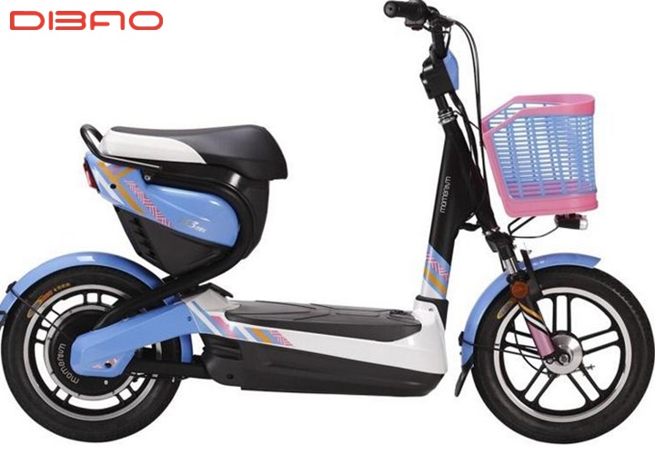Xe điện Giant có mức giá khá phù hợp túi tiền học sinh, sinh viên